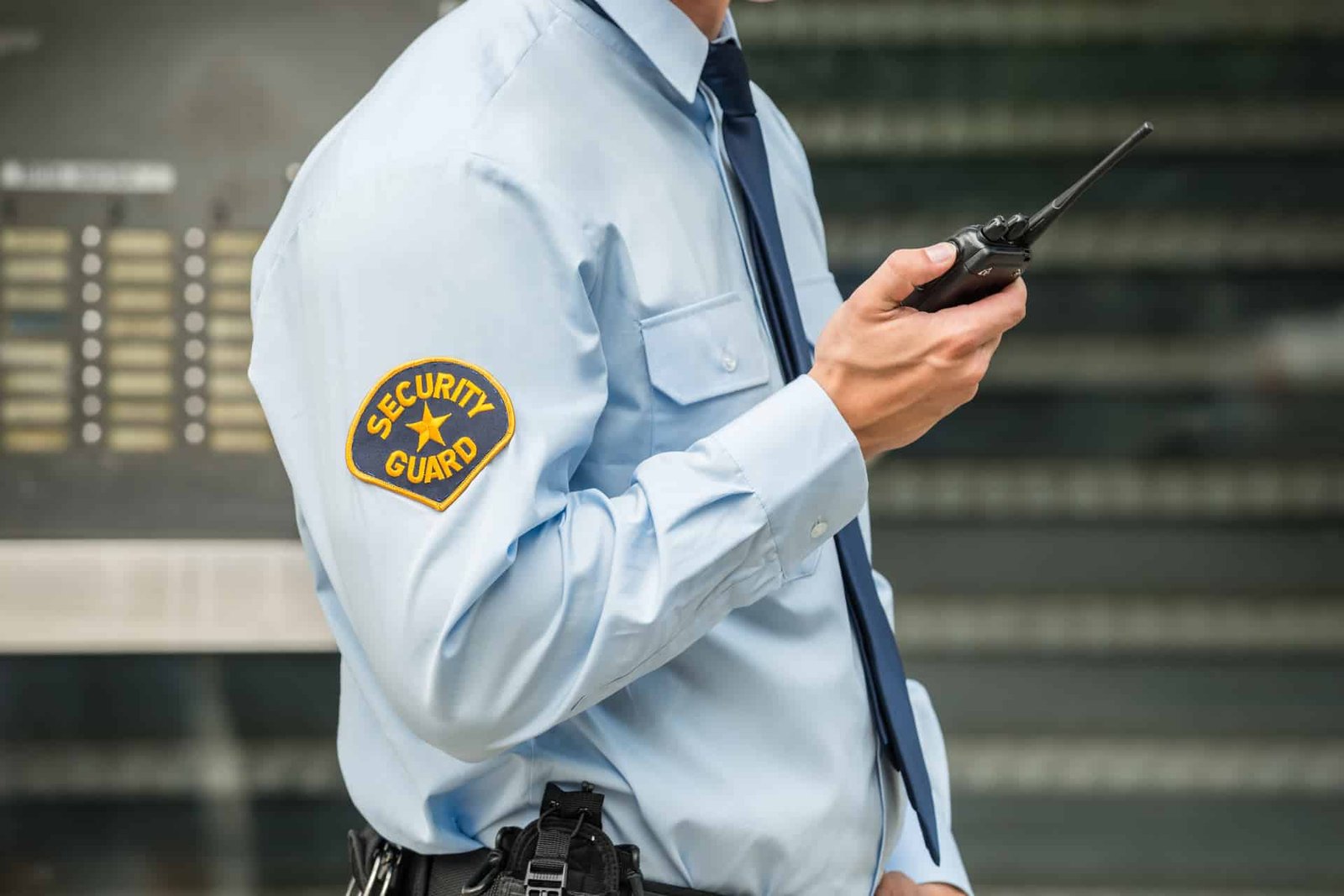 Security Professional