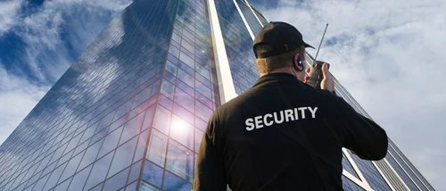 Security Professional